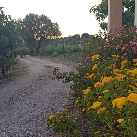 Agriturismo Muristene Villa Dorgali Exterior foto
