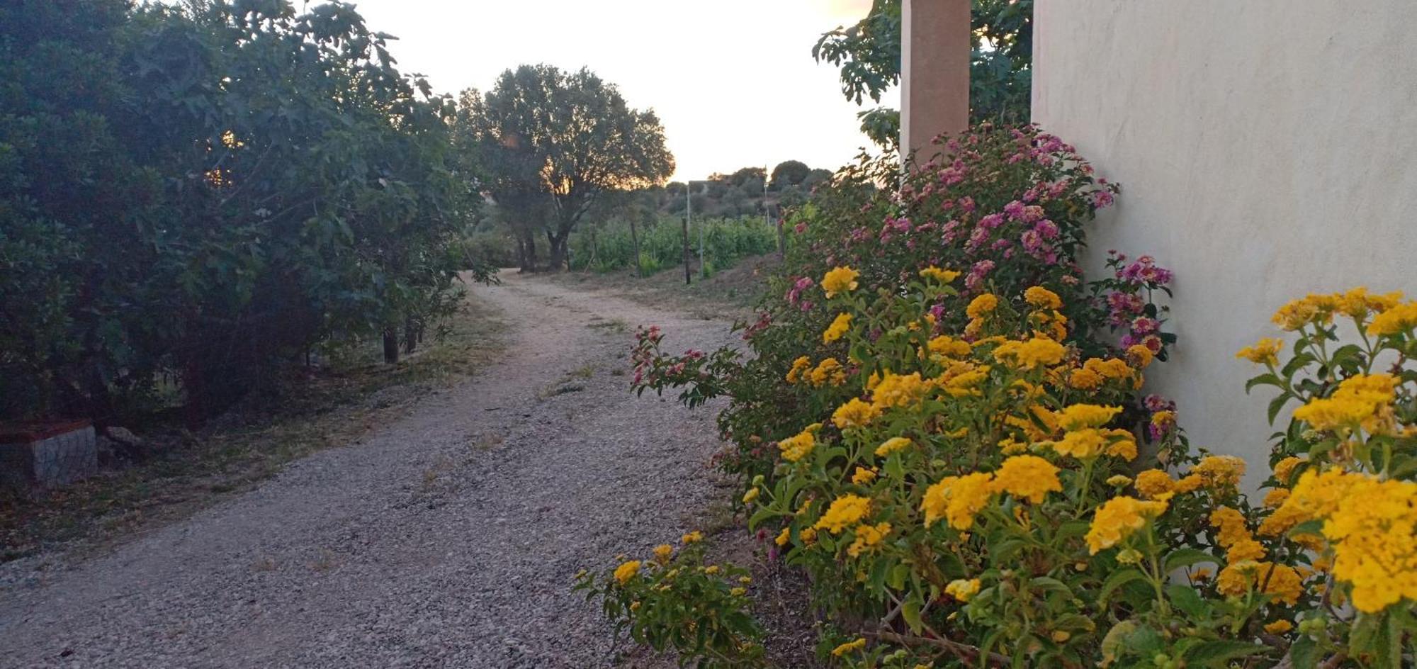 Agriturismo Muristene Villa Dorgali Exterior foto
