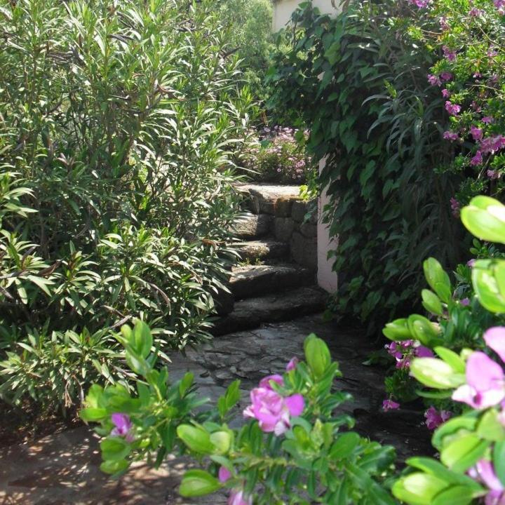 Agriturismo Muristene Villa Dorgali Exterior foto